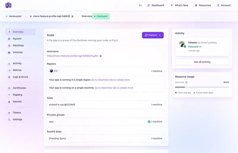 Fly.io overview of one branch app: a single shared-cpu-1x machine in SYD, one process group, its own *.fly.dev hostname
