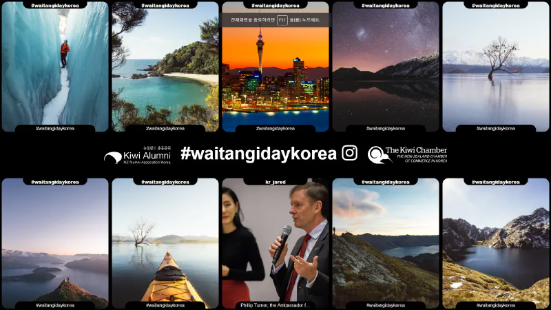 해시태그 디스플레이